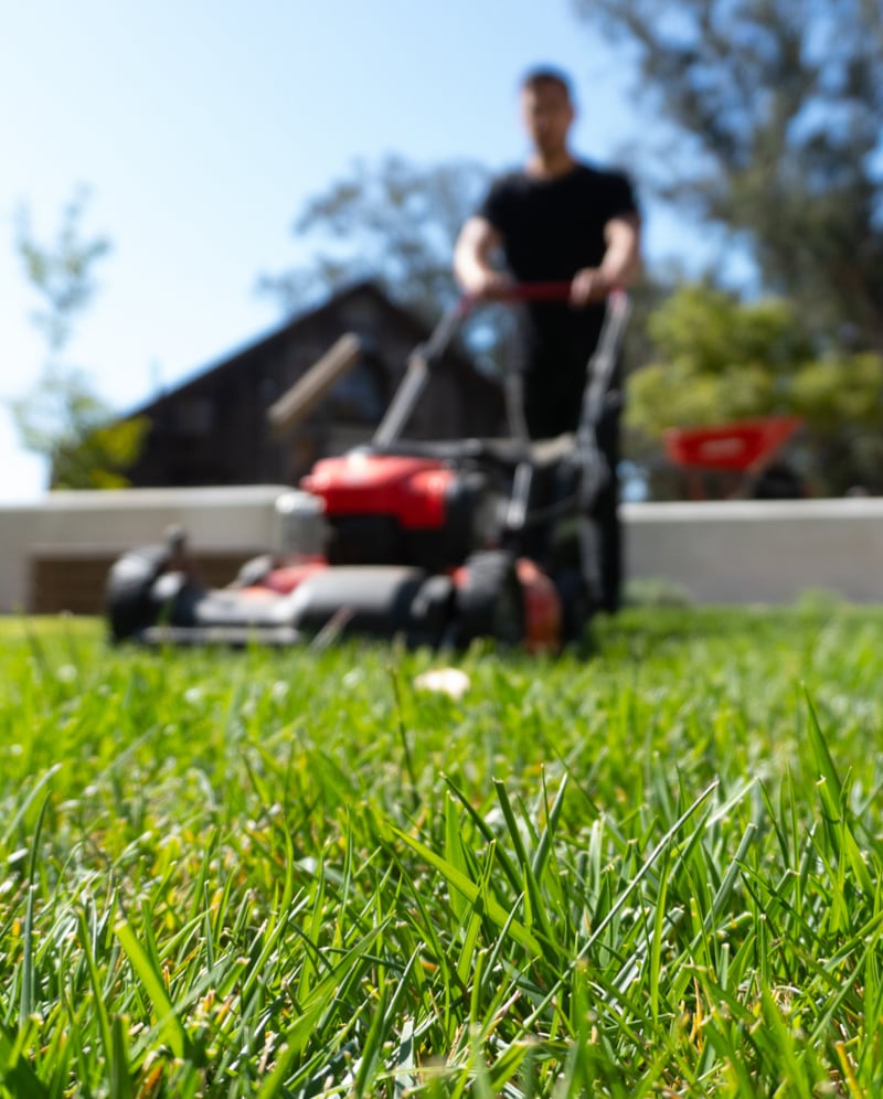 BENJAMIN SERVICES pour tous vos travaux et l’entretien de votre jardin